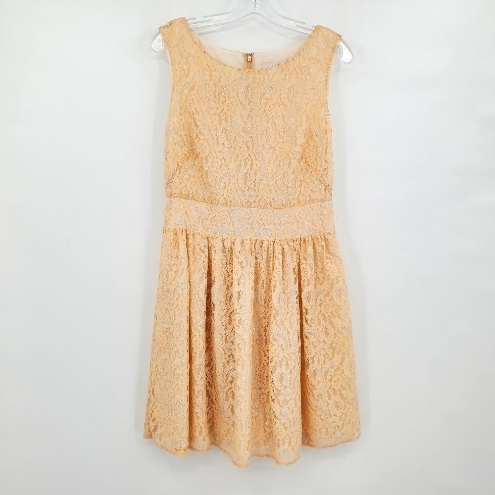 Loft Peach and Silver Metallic Pleated Lace Dress